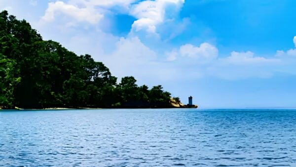 Andaman Tour Packages 2026–27: Booking Insights from Andaman TravelCare Show Growing Demand from Major Indian Cities